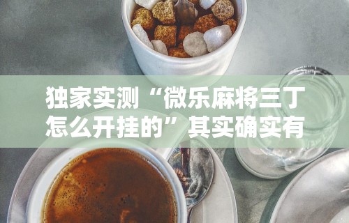 独家实测“微乐麻将三丁怎么开挂的”其实确实有挂
