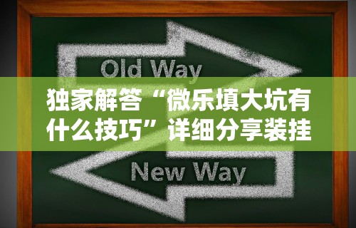 独家解答“微乐填大坑有什么技巧”详细分享装挂步骤