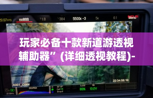 玩家必备十款新道游透视辅助器	”(详细透视教程)-知乎