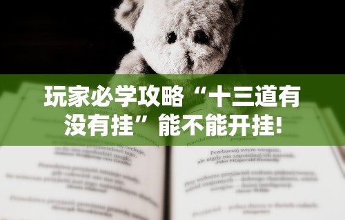 玩家必学攻略“十三道有没有挂”能不能开挂!
