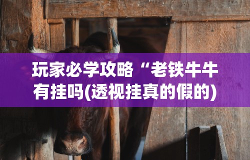玩家必学攻略“老铁牛牛有挂吗(透视挂真的假的)