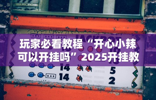 玩家必看教程“开心小辣可以开挂吗”2025开挂教程步骤