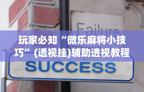 玩家必知“微乐麻将小技巧	”(透视挂)辅助透视教程