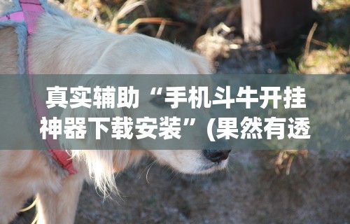 软件分享“微乐麻将怎么样才能有好手气	”附开挂脚本详细步骤