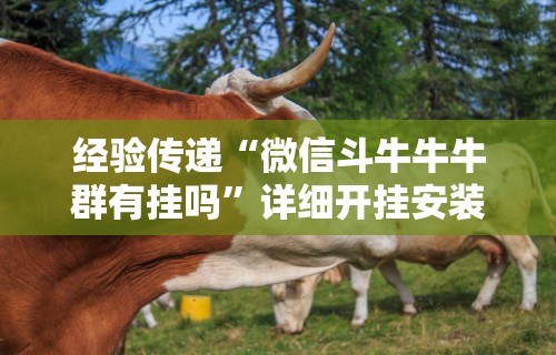 两分钟了解“新好游正规平台能开挂吗”开挂步骤方法