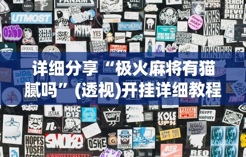 专家分析“微信斗地主小程序有没有挂”(详细透视教程)-知乎