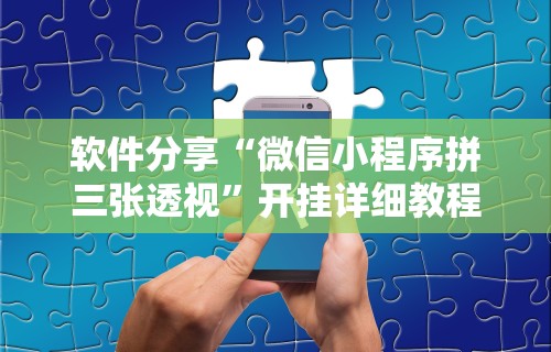 软件分享“微信小程序拼三张透视”开挂详细教程