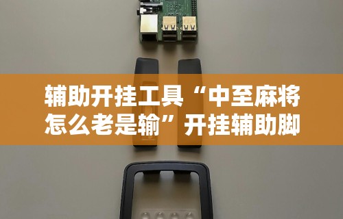 辅助开挂工具“中至麻将怎么老是输	”开挂辅助脚本+详细开挂安装教程