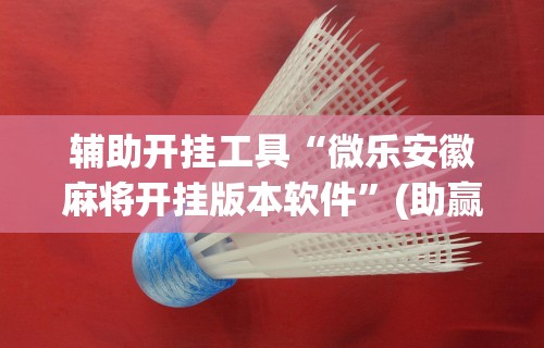辅助开挂工具“微乐安徽麻将开挂版本软件”(助赢详细开挂教程)