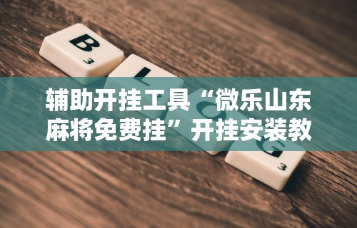 辅助开挂工具“微乐山东麻将免费挂”开挂安装教程