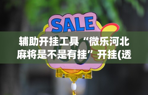 一键操作“真人天天麻将开挂神器下载安装	”开挂辅助脚本+详细