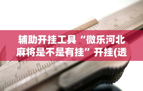 辅助开挂工具“微乐河北麻将是不是有挂”开挂(透视)辅助教程