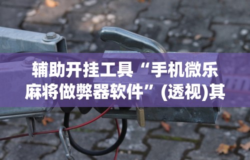 玩家必备攻略!卡丁娱乐辅助器试用版	”附开挂脚本详细步骤