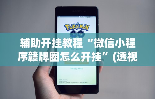 辅助开挂教程“微信小程序赣牌圈怎么开挂”(透视挂)详细用法教程