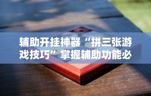 [教程经验]“壹柒十三张可以开挂吗”分享必要外挂教程