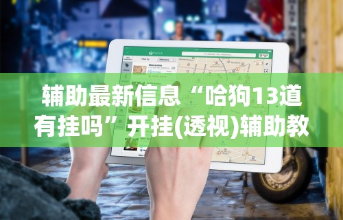 辅助最新信息“哈狗13道有挂吗”开挂(透视)辅助教程