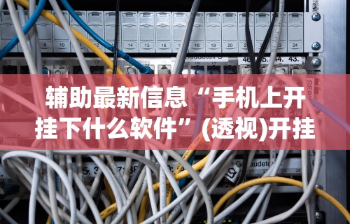 辅助最新信息“手机上开挂下什么软件”(透视)开挂辅助脚本+详细开挂安装教程