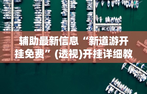 专用辅助“哥哥打大a怎么能来好牌[真的有挂]