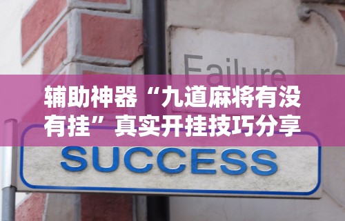 【终于出现】“微乐河北麻将怎么玩赢的多”详细开挂教程