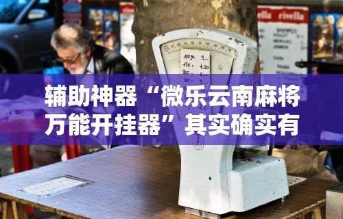 辅助神器“微乐云南麻将万能开挂器”其实确实有挂