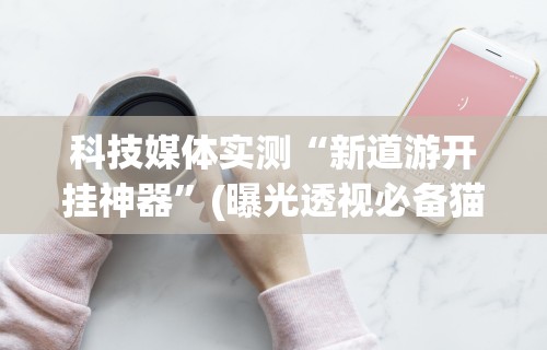 科技媒体实测“新道游开挂神器”(曝光透视必备猫腻)