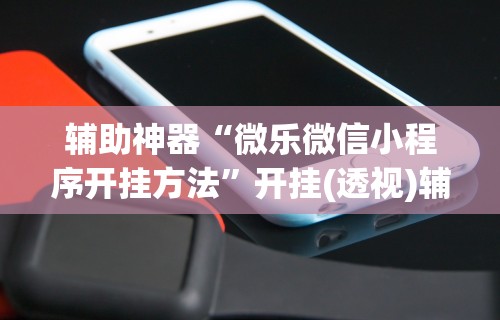 辅助神器“微乐微信小程序开挂方法”开挂(透视)辅助神器