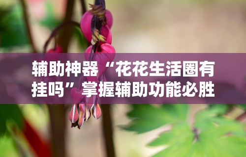 3分钟学会“海讯河源麻将和平神器	”可以开挂作弊