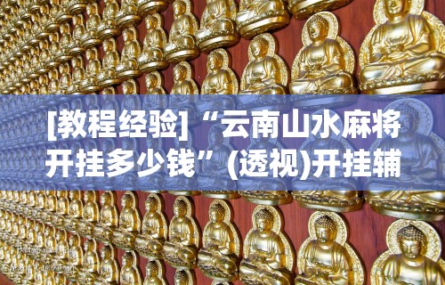 [教程经验]“云南山水麻将开挂多少钱”(透视)开挂辅助脚本+详细开挂安装教程