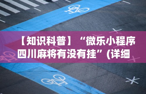 2026最新一代“十三张辅助器ios”附开挂脚本详细步骤