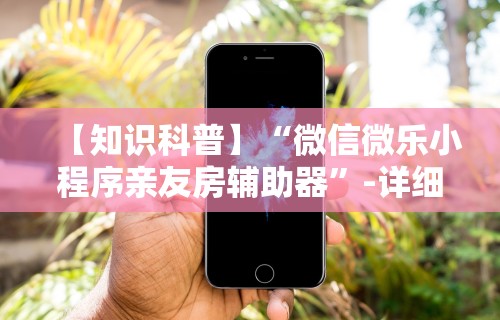 【知识科普】“微信微乐小程序亲友房辅助器”-详细教程