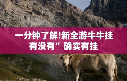 4分钟了解“微乐河北麻将助赢神器购买”能不能开挂!