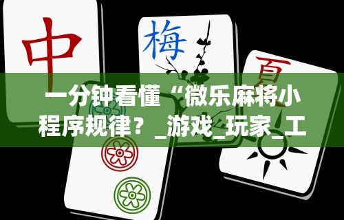玩家必看教程“微乐小程序开挂教程视频	”(详细辅助脚本)
