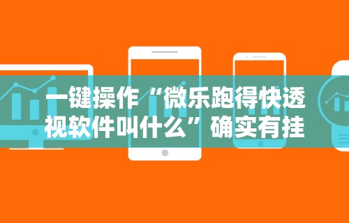 秒懂经验“喜乐填大坑挂	”(果然有透视挂)