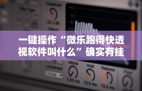 一键操作“微乐跑得快透视软件叫什么”确实有挂