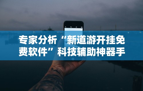 专家分析“新道游开挂免费软件”科技辅助神器手机