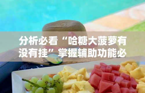分析必看“哈糖大菠萝有没有挂	”掌握辅助功能必胜规则