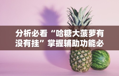 五分钟了解微乐河北麻将怎样开挂”(果然有透视挂)