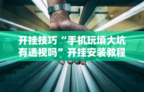 专家分析“陕西微乐挖坑挂	”开挂(透视)辅助教程