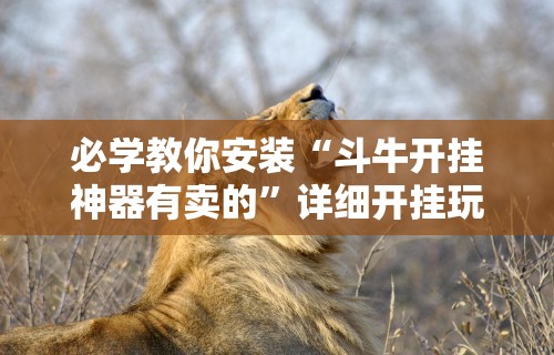 必学教你安装“斗牛开挂神器有卖的	”详细开挂玩法