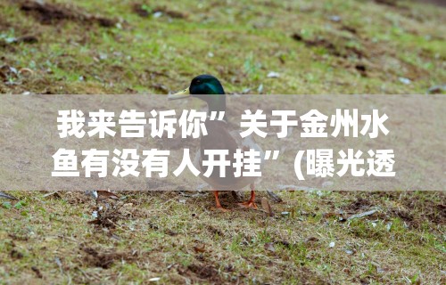五分钟了解微乐陕西三代如何拿好牌”可以开挂作弊