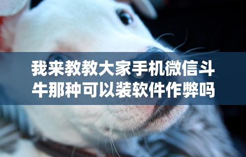 3分钟教程“微乐麻将万能开挂器是真的吗”开挂科技辅助神器手机