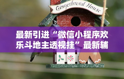 【玩家必看】“微乐麻将万能挂”作弊(透视)透视辅助