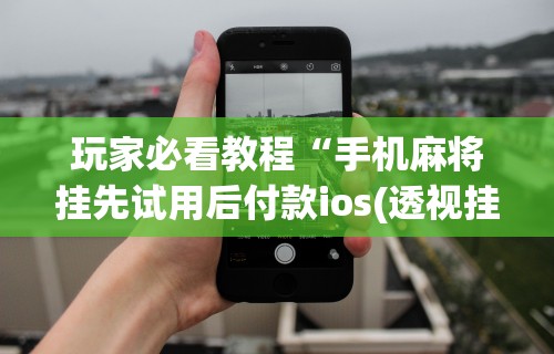 3分钟学会“微乐天天踢有挂么	”详细开挂教程