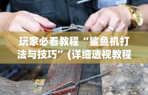 实测脚本“美猴王牛牛挂先试用再付款”详细分享装挂步骤