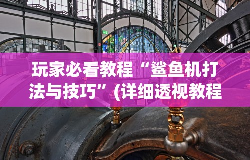 助赢神器“闲娱江西棋牌怎么拿好牌”开挂辅助脚本+详细开挂