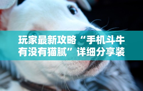 两分钟了解微乐贵阳麻将有挂么”(其实是有挂)