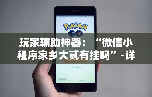 玩家辅助神器：“微信小程序家乡大贰有挂吗”-详细教程