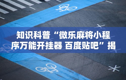 【揭秘一下】“新青鸟大厅万能开挂器”开挂辅助脚本+详细开挂