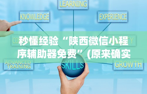 秒懂经验“陕西微信小程序辅助器免费”(原来确实是有挂)