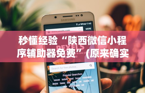 秒懂经验“陕西微信小程序辅助器免费”(原来确实是有挂)